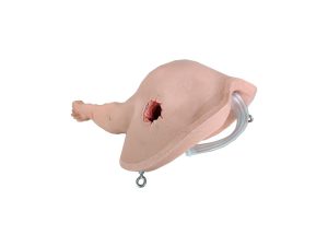 Bleeding Control Arm Trainer Bleeding Control Arm Trainer