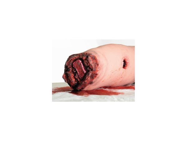 Jambe d'entraînement au contrôle des hémorragies Jambe d'entraînement au contrôle des hémorragies