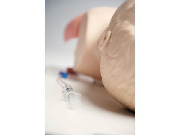 Tête d'intubation adulte Tête d'intubation adulte